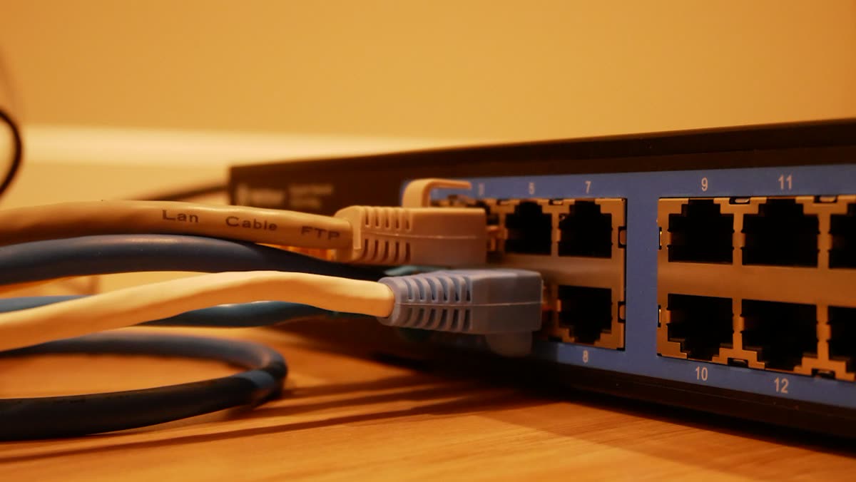 Network cables plugged into a switch