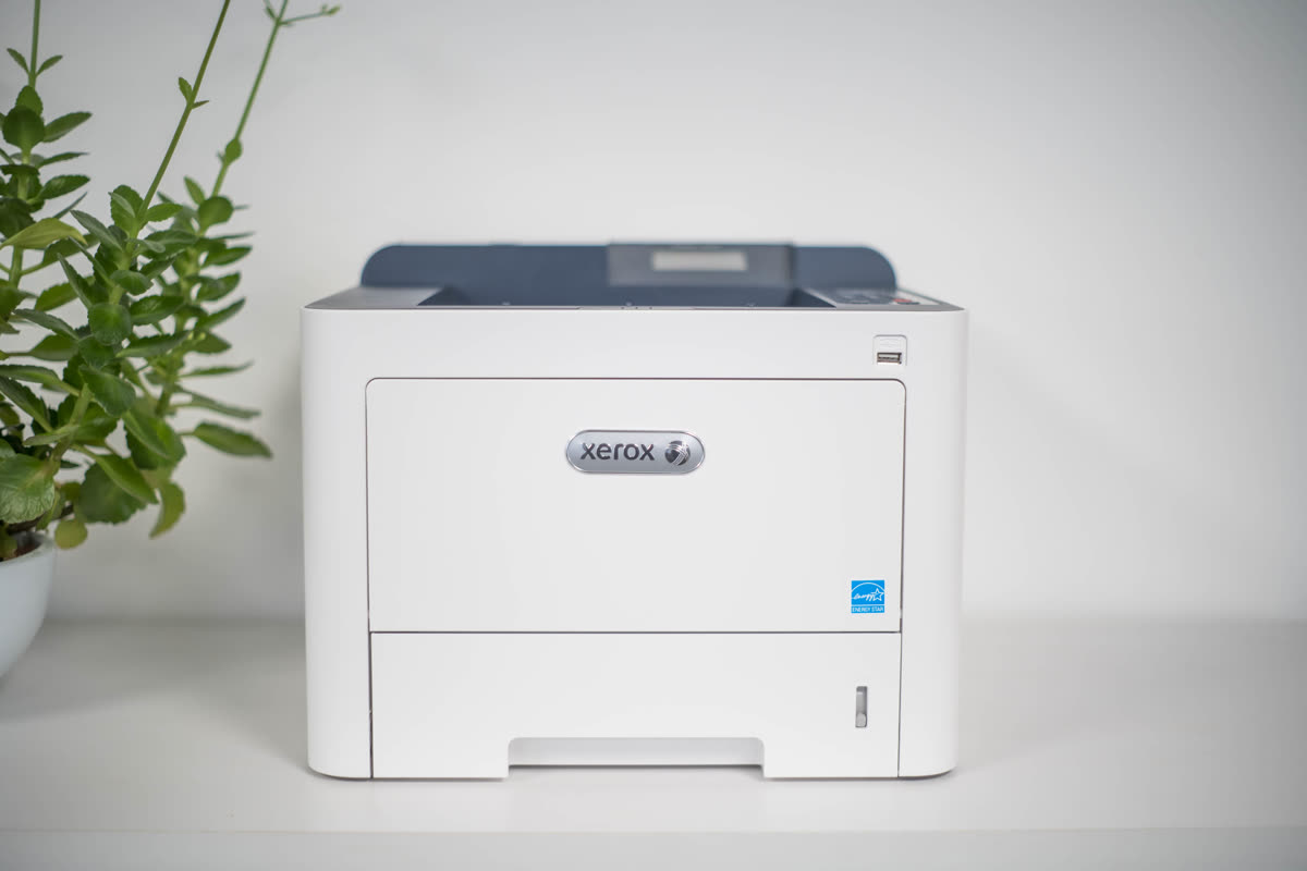 Xerox laser printer on a desk beside a plant